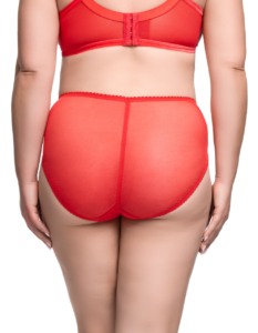 Rosewyn - Flame (d21044 rosewyn hi cut flame 02 233x300)
