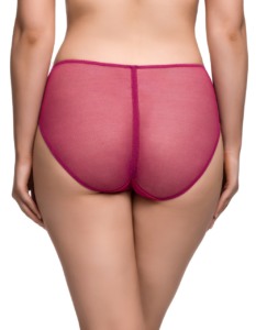 Victresse - Rubin (d21041 victresse hi cut rubine 02 233x300)