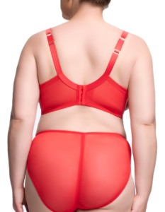 Nom De Plume - Flame (d57040 nom de plume curve bra flame 02 233x300)